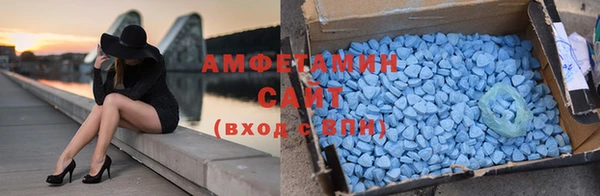 сатива Иннополис