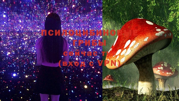 прущая мука Каменск-Шахтинский