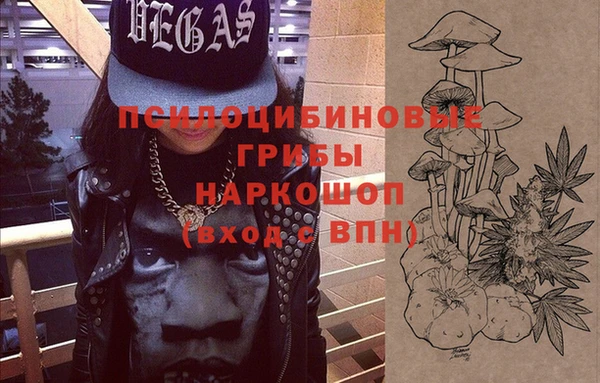 молекула духа Тобольск
