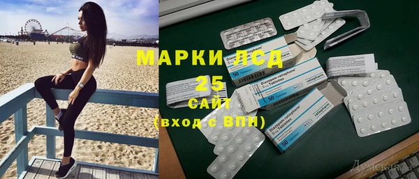 сатива Иннополис