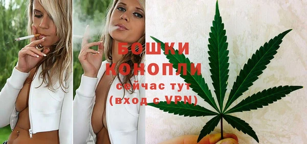 гидра Каменка