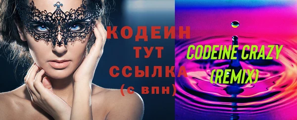 сатива Иннополис
