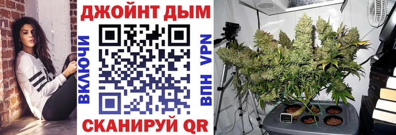 Шишки марихуана конопля Карабаново